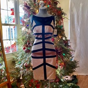 Jax cocktail dress NWT